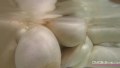 OMG Big Boobs 8