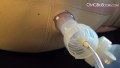 OMG Big Boobs 6